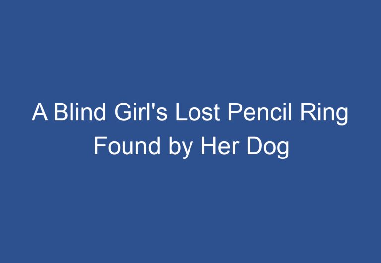 A Blind Girl’s Lost Pencil Ring Found by Her Dog